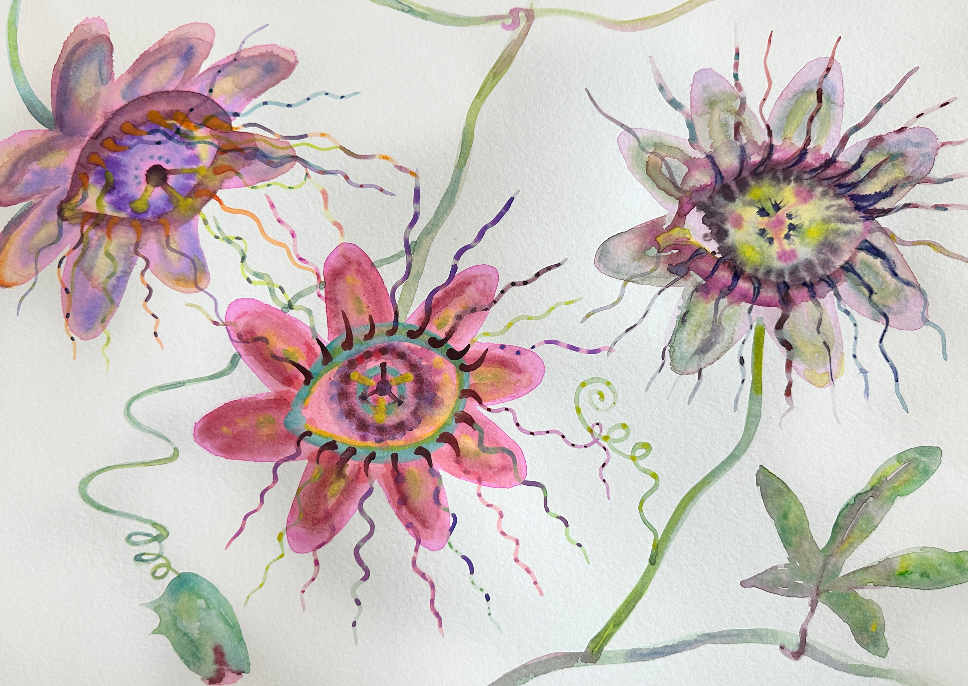 "Passionflowers"